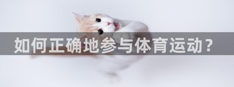 球友体育app官方入口