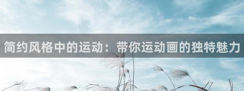 球友体育官方网站：简约风格中的运动：带你运动画的独特魅力