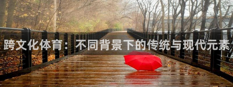 球友体育nba：跨文化体育：不同背景下的传统与现代元素