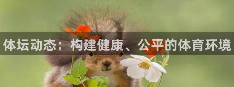 球友体育飞鱼下载：体坛动态：构建健康、公平的体育环境