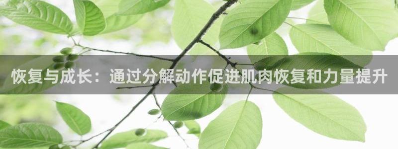 球友体育zhibo：恢复与成长：通过分解动作促进肌肉恢复和力量提升