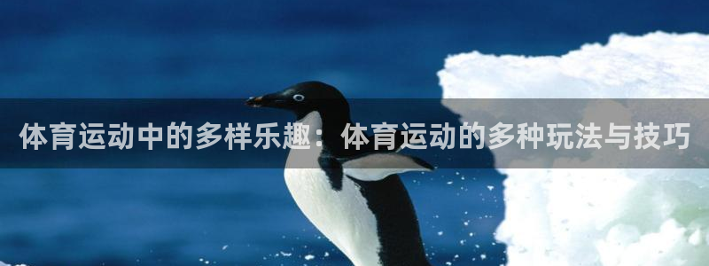 球友体育APP下载