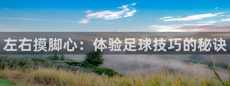 球友体育官网