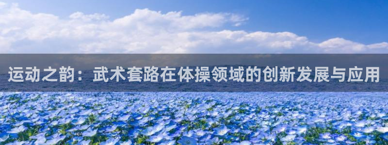 球友体育下载：运动之韵：武术套路在体操领域的创新发展与应用