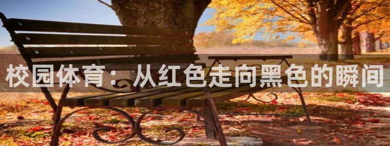 球友体育app官方下载：校园体育：从红色走向黑色的瞬间