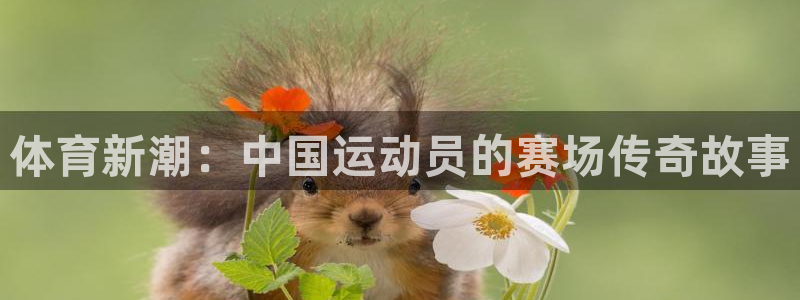 球友体育zhibo
