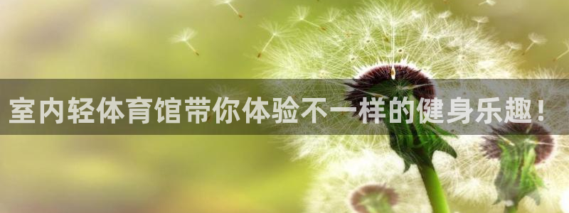 球友体育旧版本：室内轻体育馆带你体验不一样的健身乐趣！