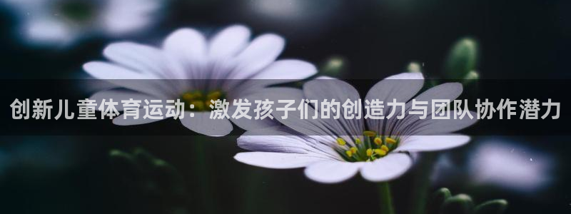 球友体育app官方下载最新版本2024